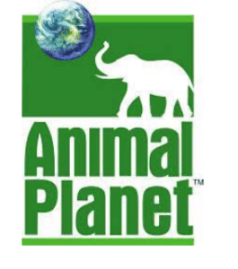 Animal Planet